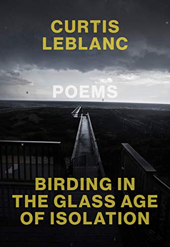 Birding in the glass-age of isolation book cover