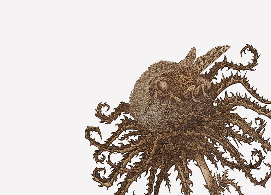 The Transaction By Guglielmo D’Izzia