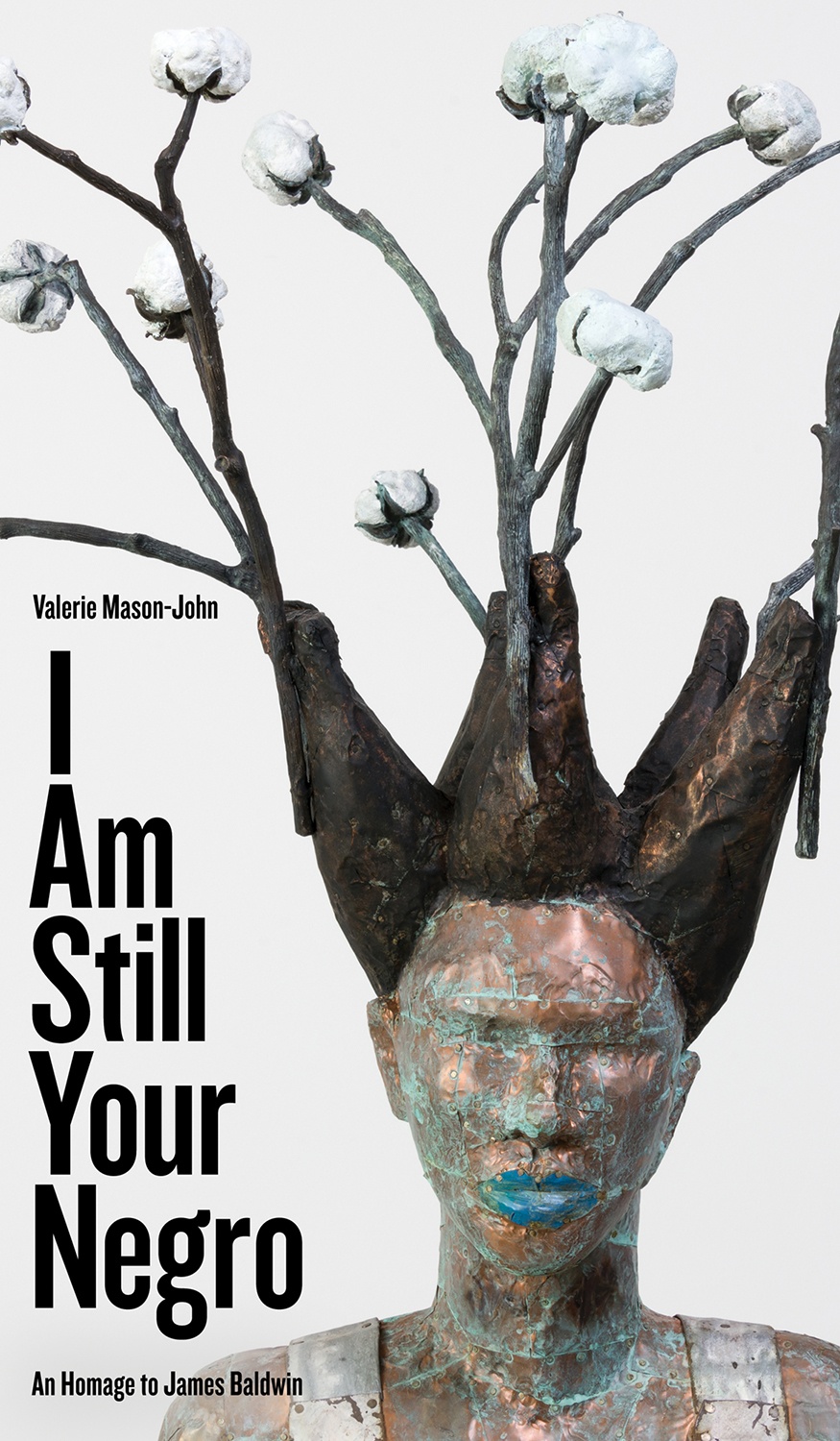 I am still your negro cover smaller