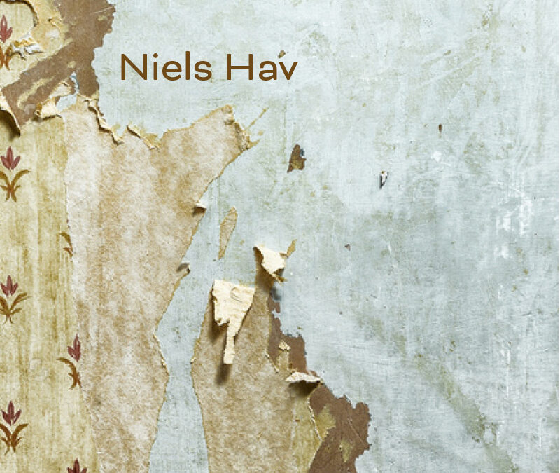 Moments of Happiness by Neils Hav, Translated by Per Brask and Patrick Friesen